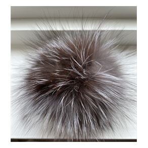 Stor VASKEBJRN dusk Mrk brun med slvgr spisser